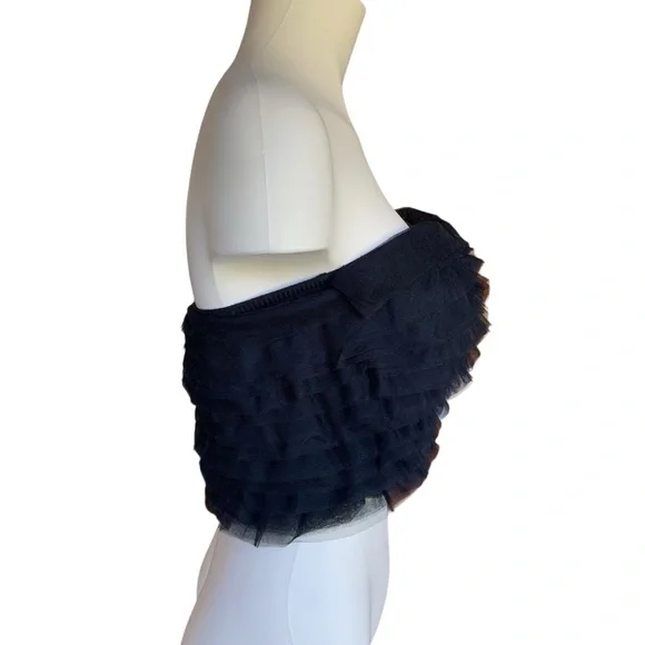 2/$10 NEW | Ruffle Mesh Tube Top – Black, Size Small (NWT) Forever 21 Crop Top - Picture 4 of 15